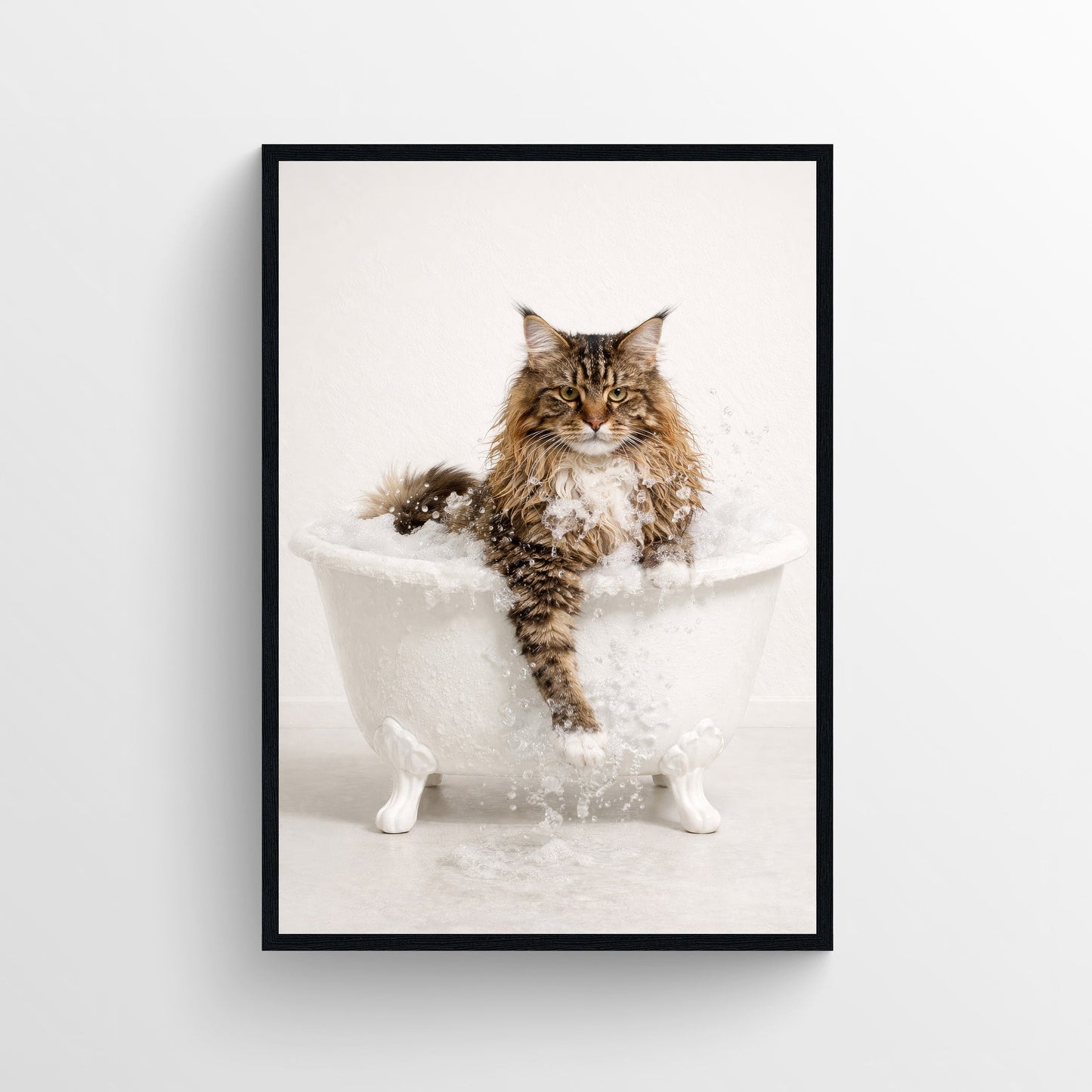 Cat - Maine Coon Animal Bathroom Tub Poster