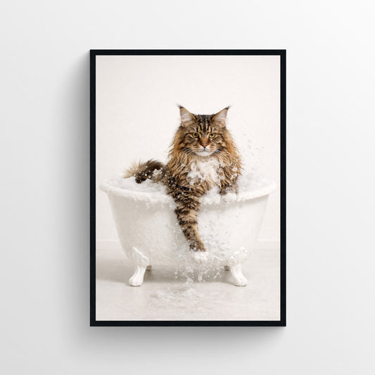 Cat - Maine Coon Animal Bathroom Tub Poster