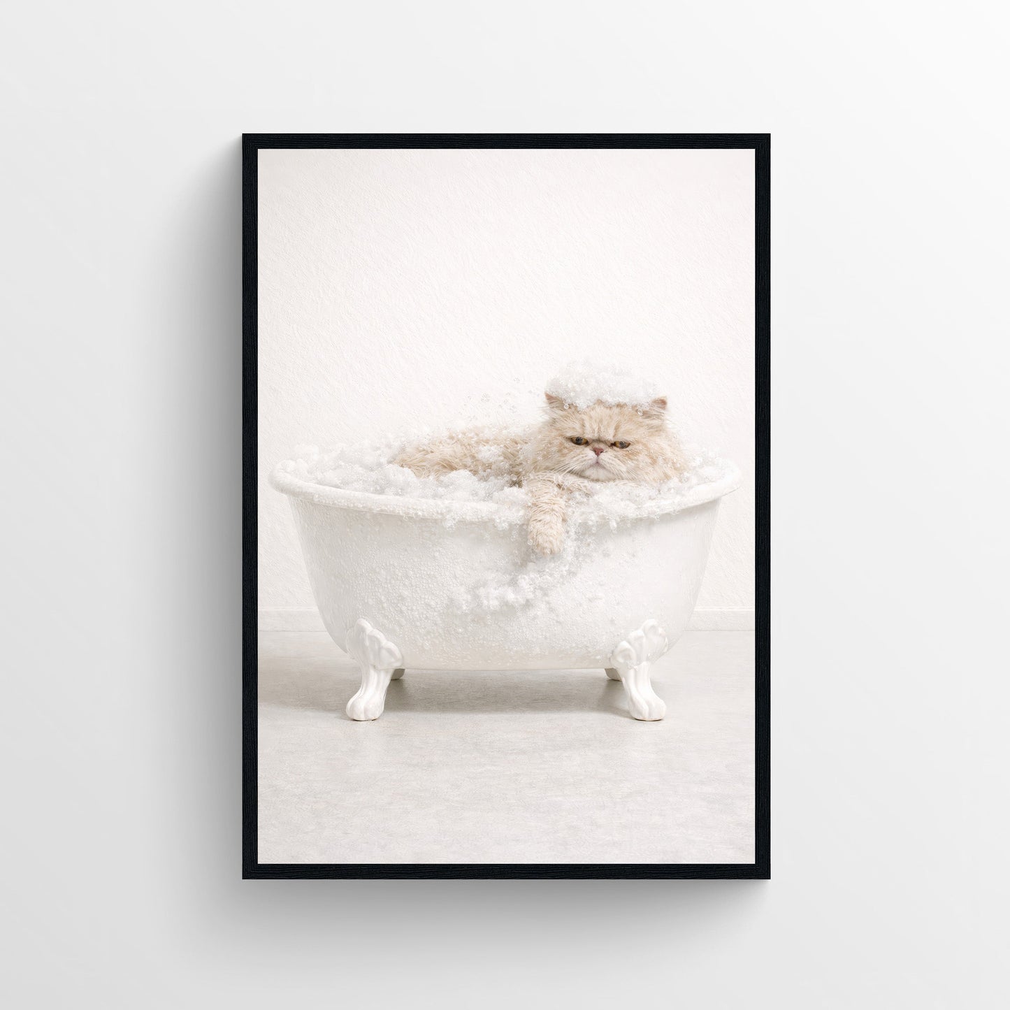 Cat - Persian Animal Bathroom Tub Poster