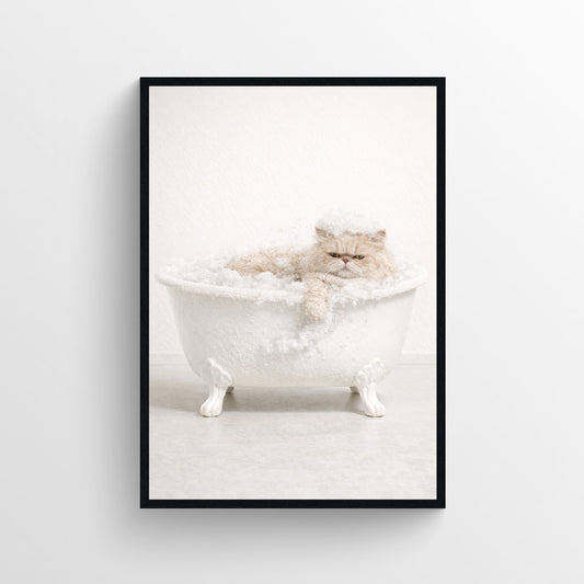Cat - Persian Animal Bathroom Tub Poster