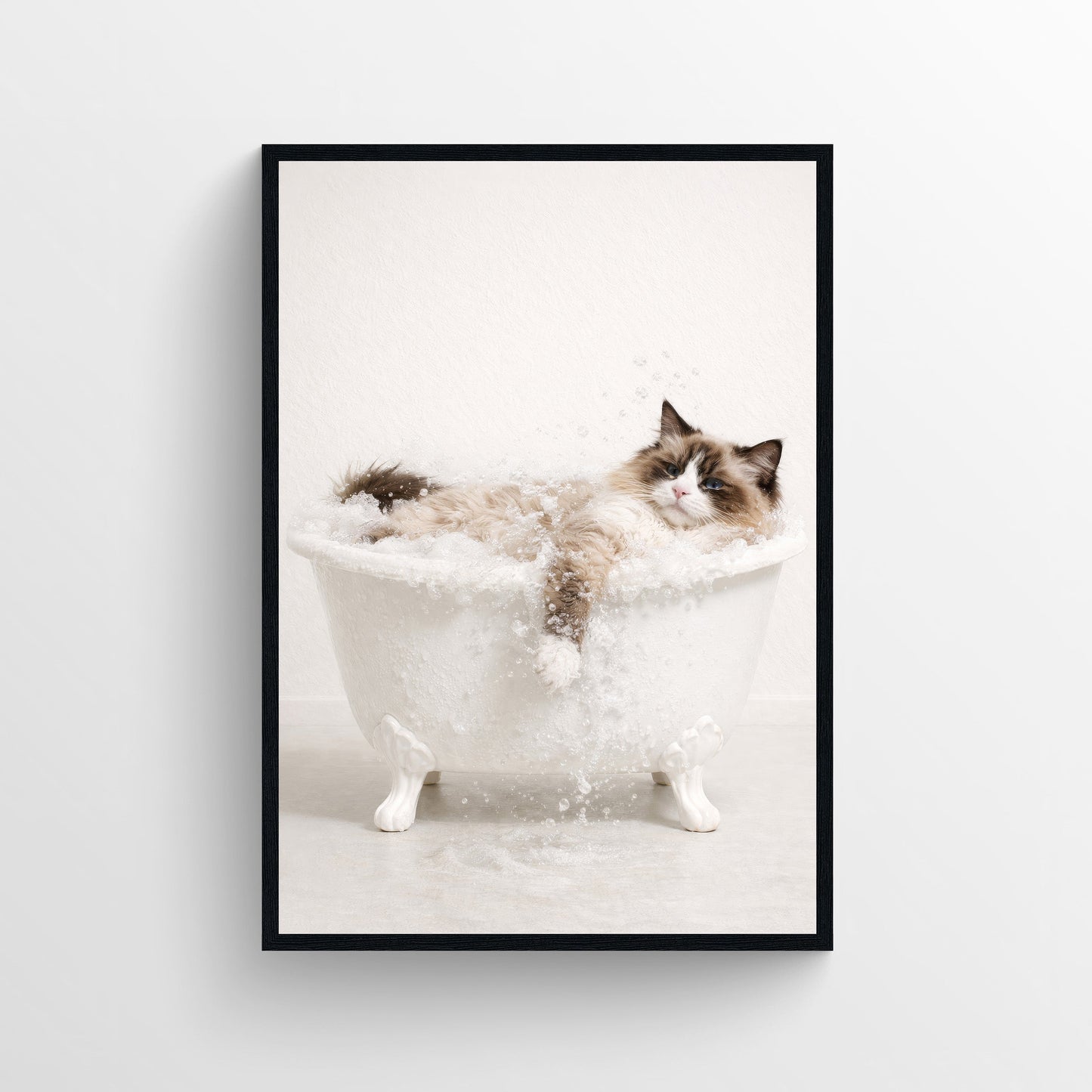 Cat - Ragdoll Animal Bathroom Tub Poster