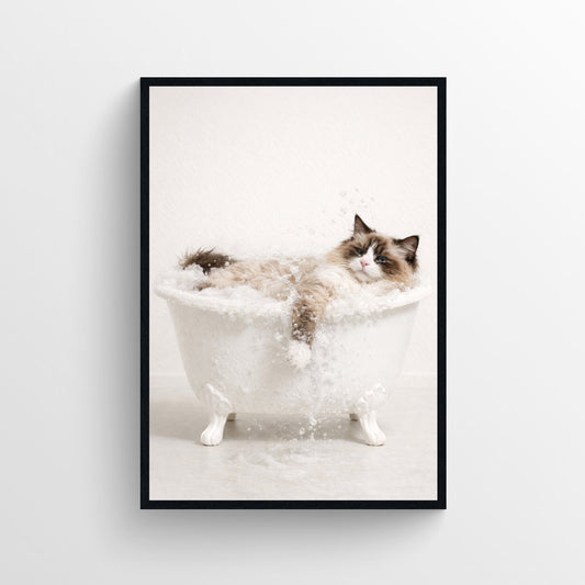 Cat - Ragdoll Animal Bathroom Tub Poster