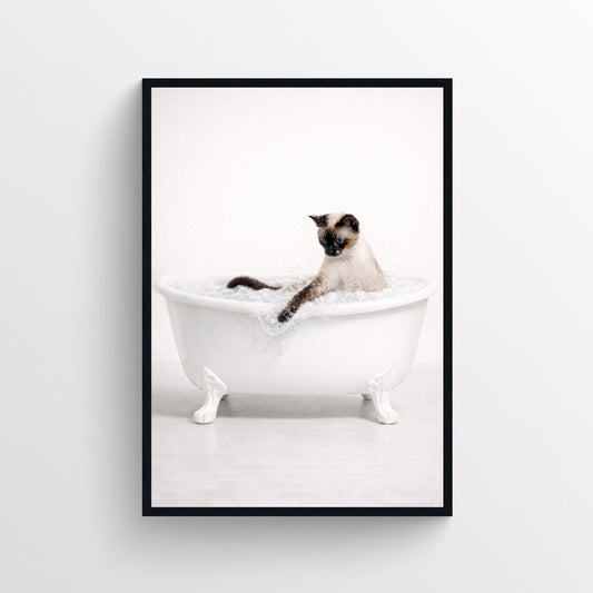 Cat - Siamese Animal Bathroom Tub Poster