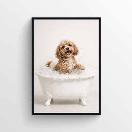 Dog - Cavapoo Animal Bathroom Tub Poster