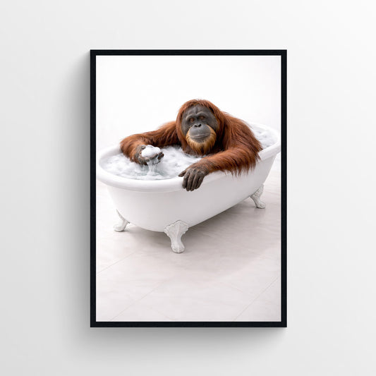Orangutan Animal Bathroom Tub Poster