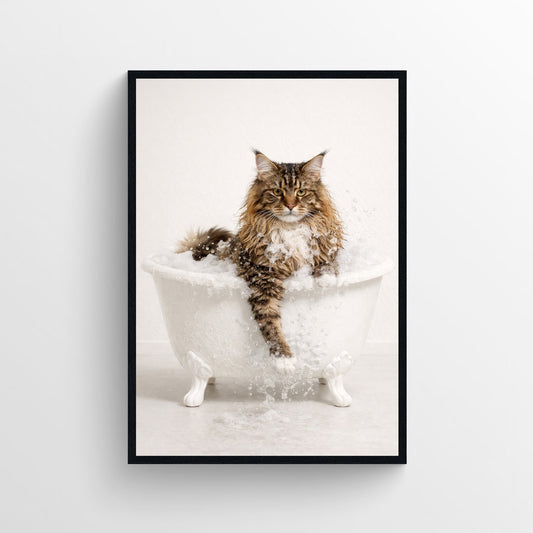 Cat - Maine Coon Animal Bathroom Tub Poster - AthleteFlags