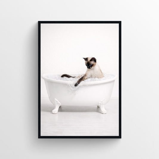Cat - Siamese Animal Bathroom Tub Poster - AthleteFlags