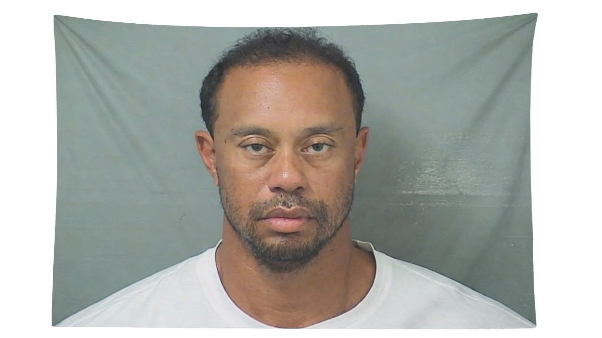 Tiger Woods 2017 Mugshot Flag - AthleteFlags